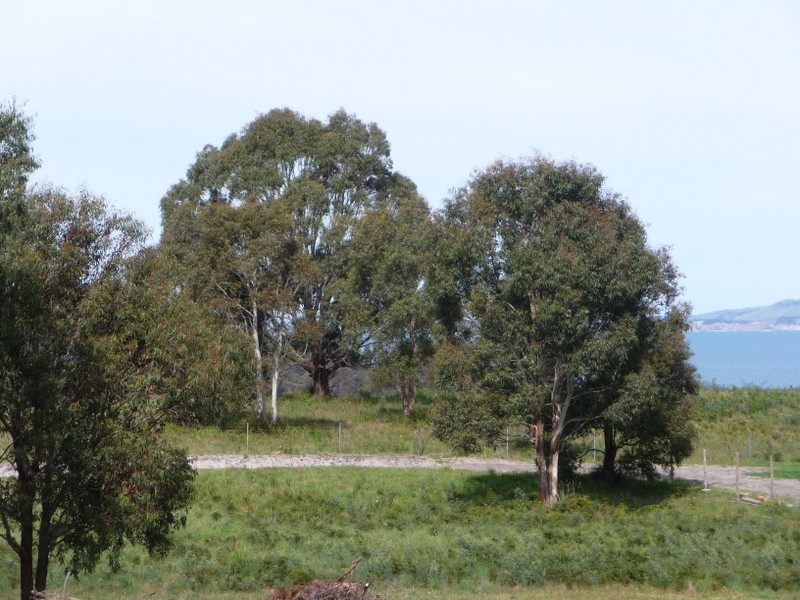 13 Clover Court, Carlton TAS 7173