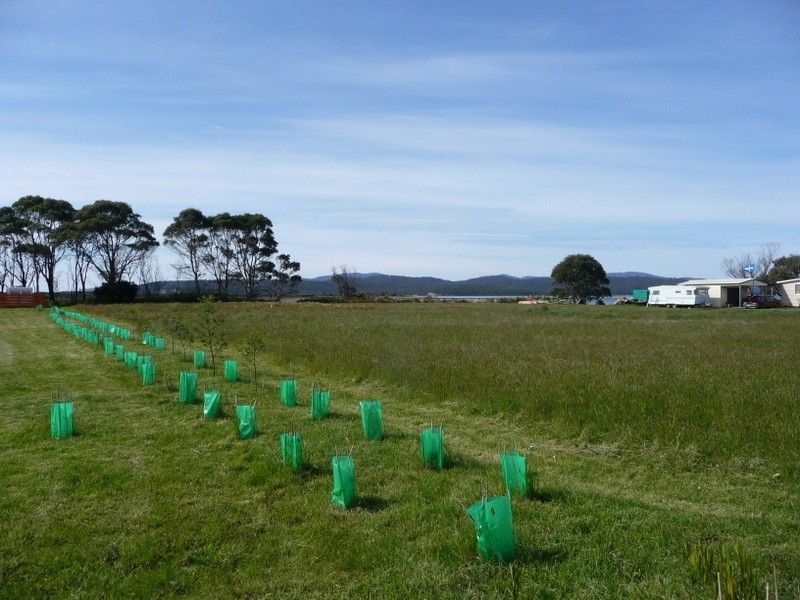 658 Bay Road, Marion Bay TAS 7175