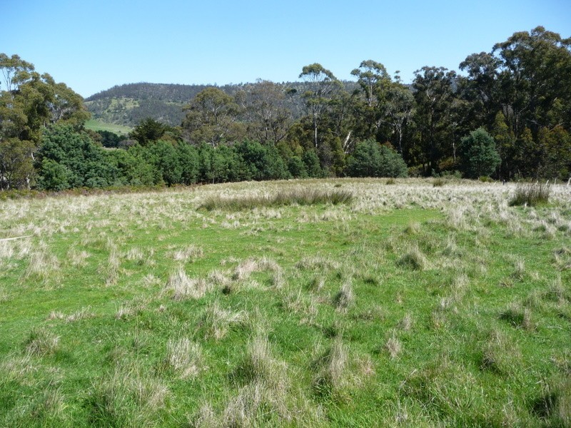 68 Webbs Road, Pawleena TAS 7172