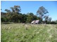 68 Webbs Road, Pawleena TAS 7172