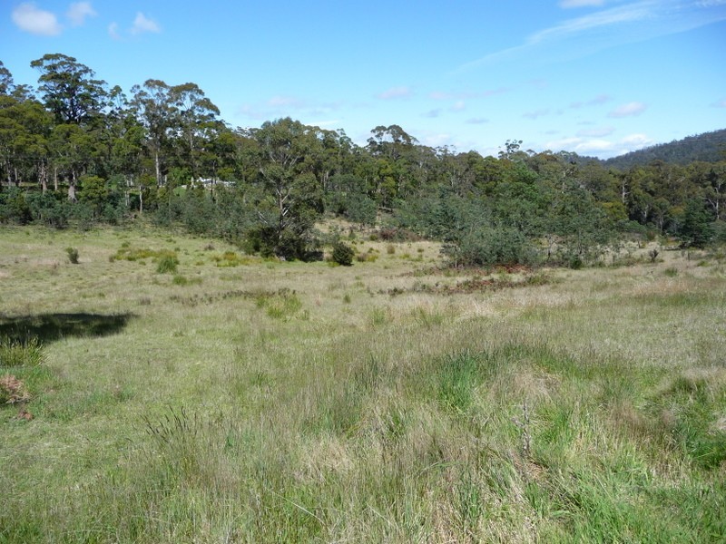 1361 Nugent Road, Wattle Hill TAS 7172