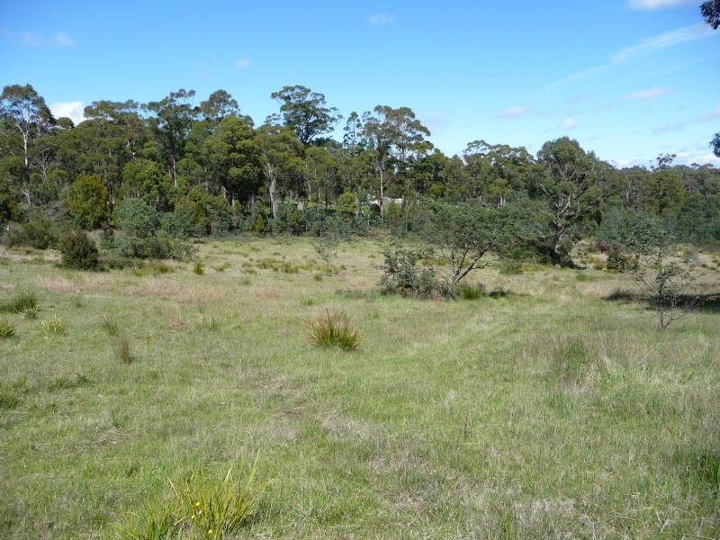 1361 Nugent Road, Wattle Hill TAS 7172