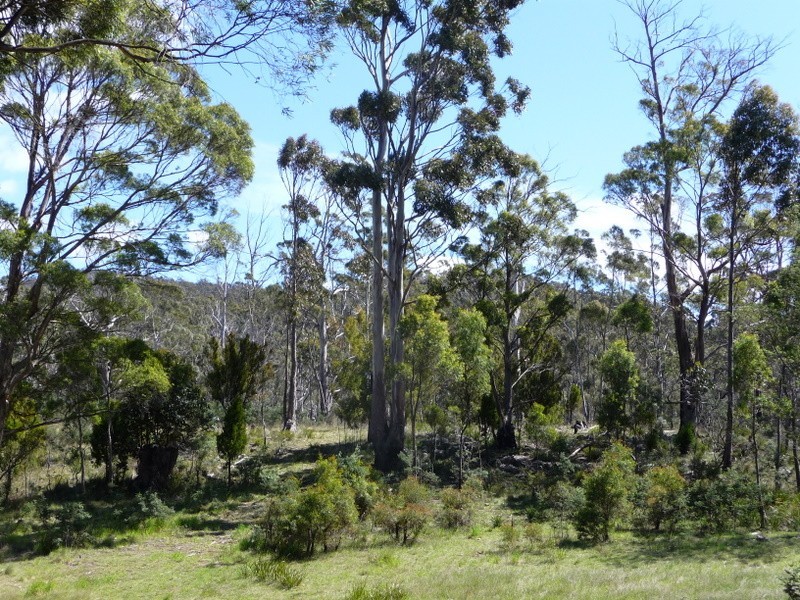 1361 Nugent Road, Wattle Hill TAS 7172