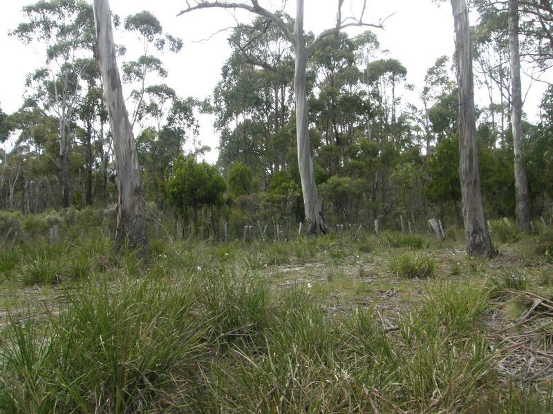 Lot 1 Dam Road, Saltwater River TAS 7186