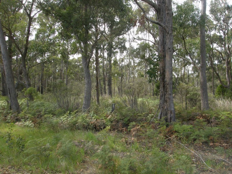 Lot 1 Dam Road, Saltwater River TAS 7186