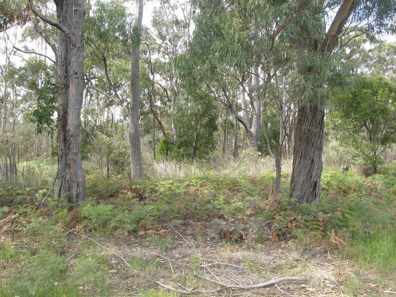 Lot 1 Dam Road, Saltwater River TAS 7186