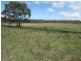 57 Carlton River Road, Dodges Ferry TAS 7173