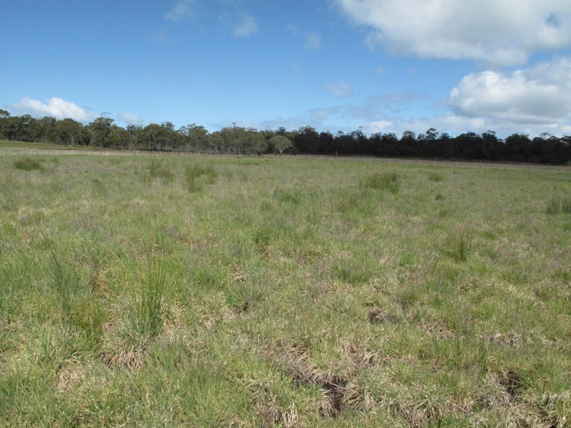 57 Carlton River Road, Dodges Ferry TAS 7173