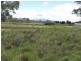 57 Carlton River Road, Dodges Ferry TAS 7173