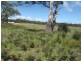 57 Carlton River Road, Dodges Ferry TAS 7173