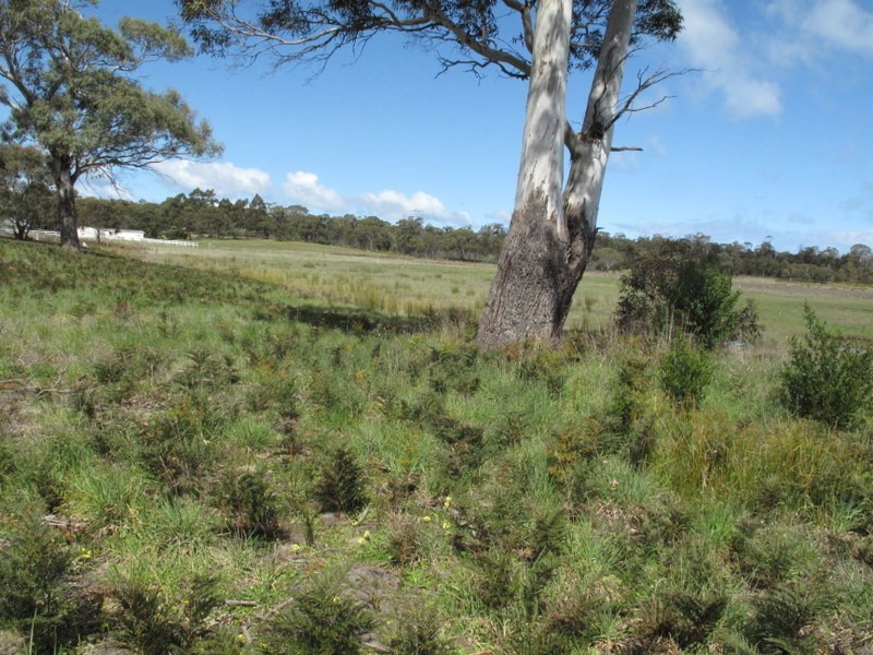 57 Carlton River Road, Dodges Ferry TAS 7173