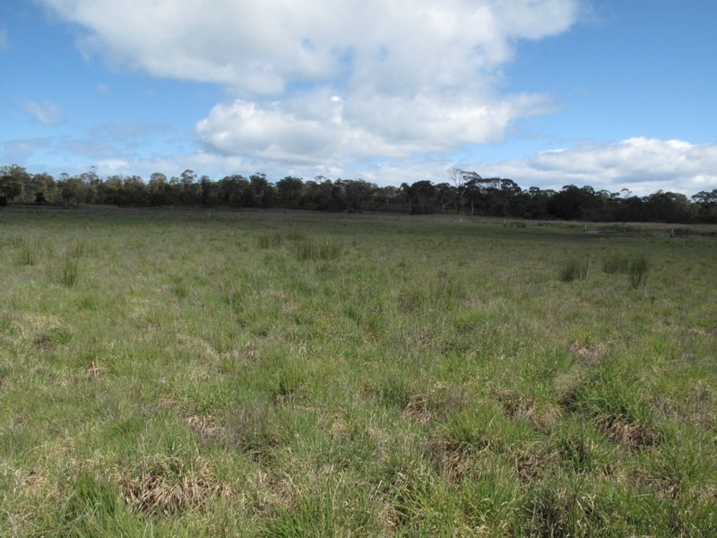 57 Carlton River Road, Dodges Ferry TAS 7173