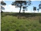 57 Carlton River Road, Dodges Ferry TAS 7173