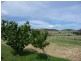 39 Brinktop Road, Penna TAS 7171