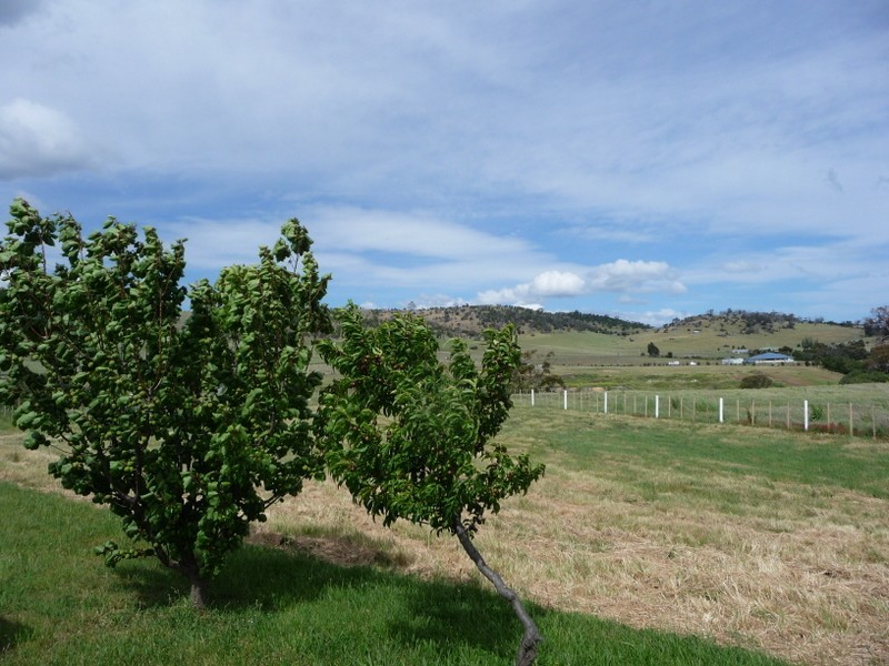 39 Brinktop Road, Penna TAS 7171