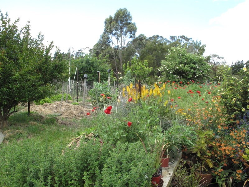 141 Boomer Road, Boomer Bay TAS 7177