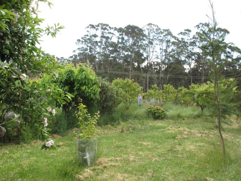 141 Boomer Road, Boomer Bay TAS 7177