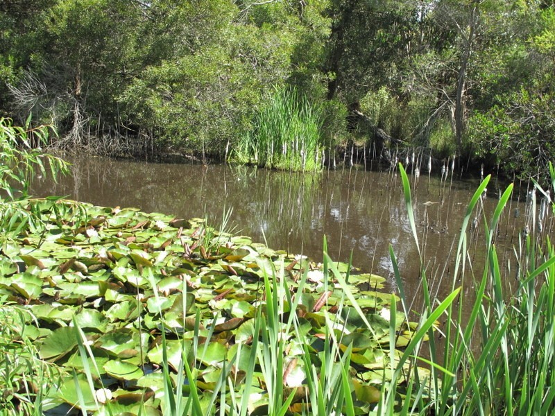 141 Boomer Road, Boomer Bay TAS 7177
