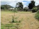 7 Torrens Street, Richmond TAS 7025