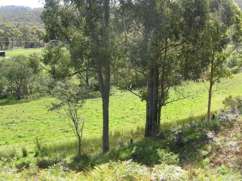 1096 Woodsdale Road, Levendale TAS 7120