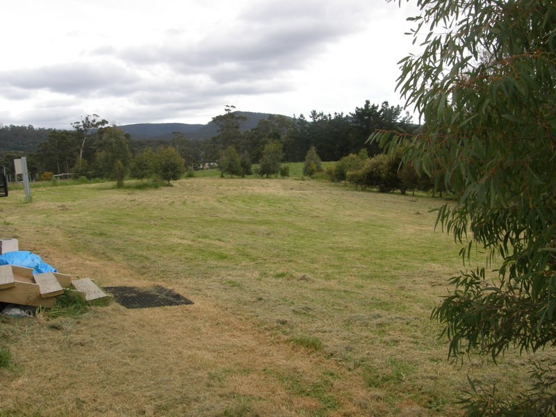 50 Wencks Road, Port Arthur TAS 7182