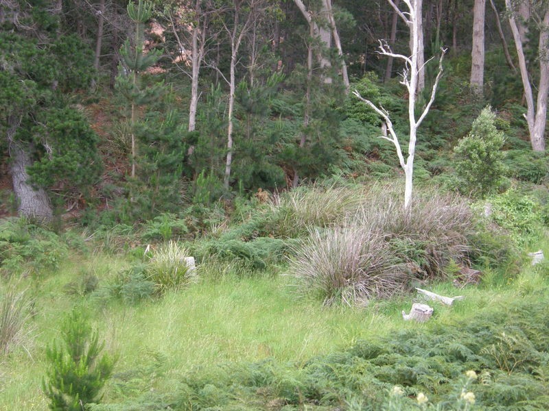 Lots 5 and 7 Jennings Cres, Nubeena TAS 7184