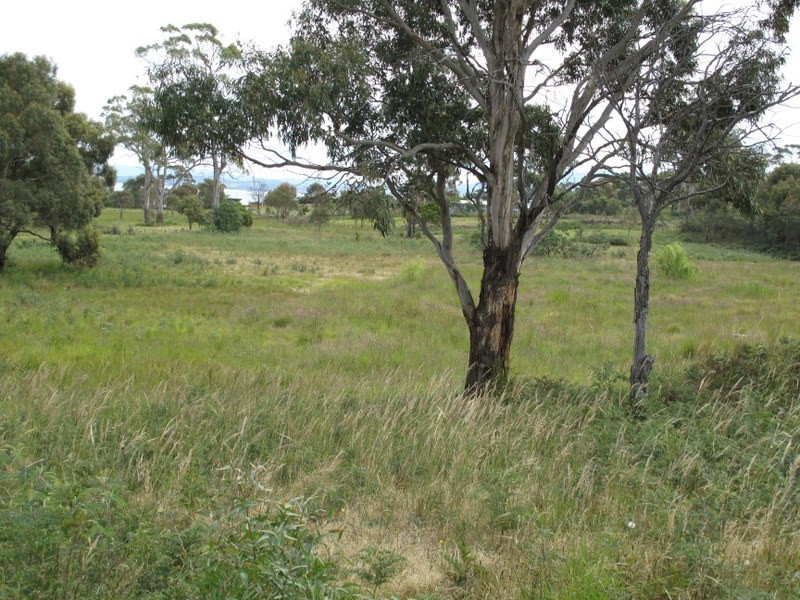 4-352 Carlton River Road, Carlton River TAS 7173