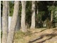 34 Craigs Hill Road, Dunalley TAS 7177