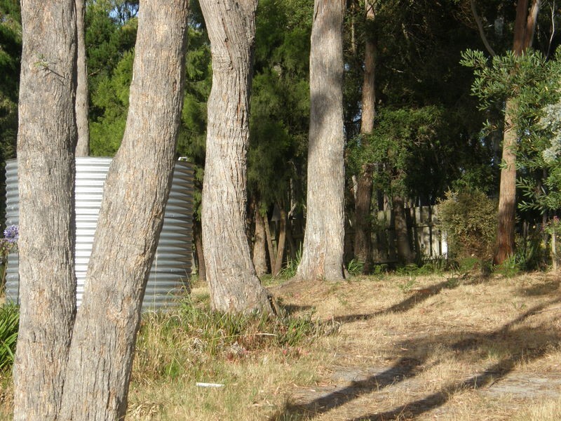 34 Craigs Hill Road, Dunalley TAS 7177