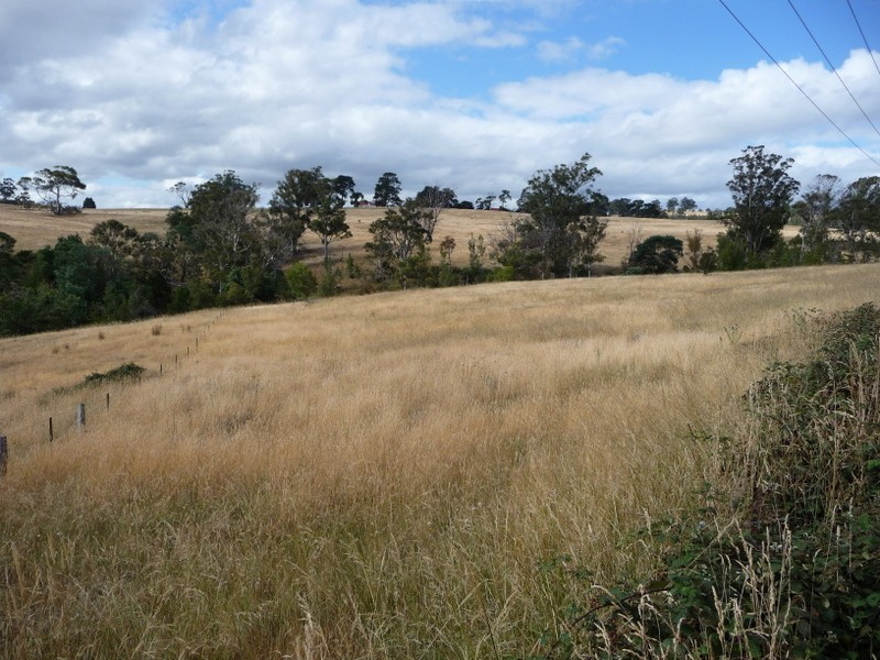 Lot 1 Delmore Road, Wattle Hill TAS 7172