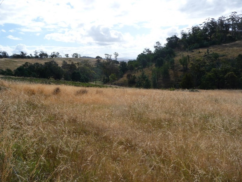 Lot 1 Delmore Road, Wattle Hill TAS 7172