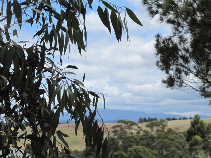 4 Grierson Drive, Forcett TAS 7173
