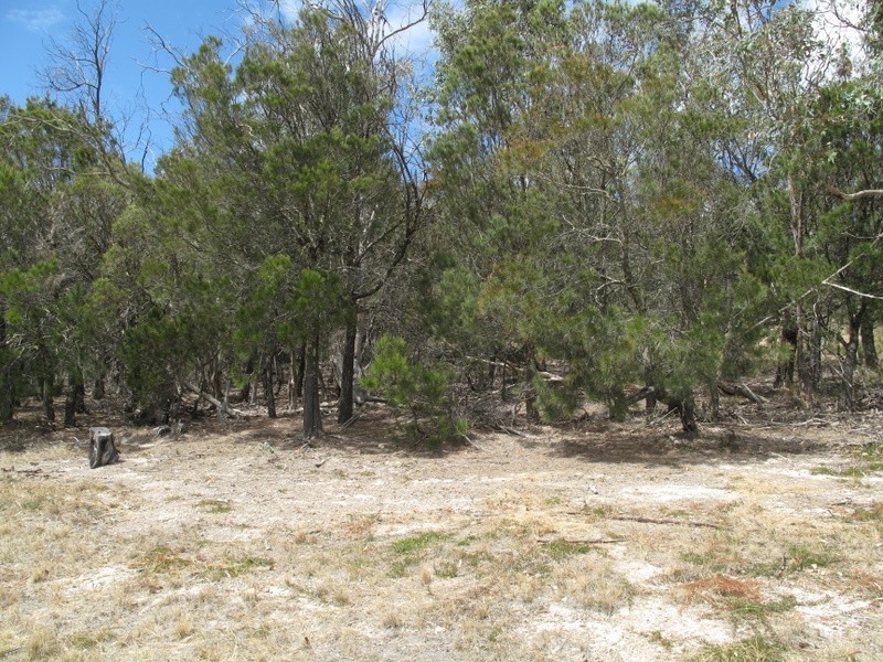 4 Grierson Drive, Forcett TAS 7173