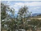 4 Grierson Drive, Forcett TAS 7173