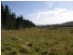 759 Tin Pot Marsh Road, Stonehenge TAS 7120