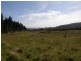 759 Tin Pot Marsh Road, Stonehenge TAS 7120