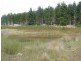 759 Tin Pot Marsh Road, Stonehenge TAS 7120