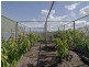 18 Gatehouse Drive, Sorell TAS 7172