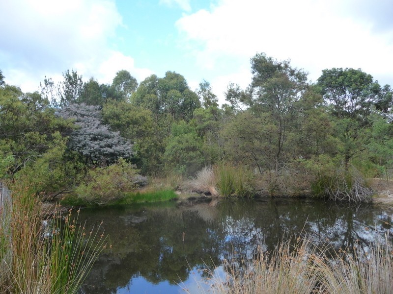 3 Topley Drive, Forcett TAS 7173