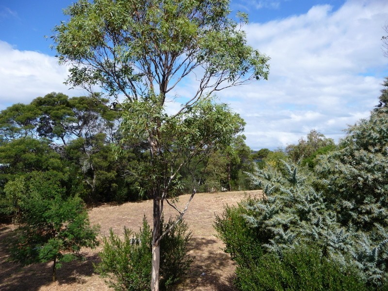 4 Cootamundra Court, Dodges Ferry TAS 7173