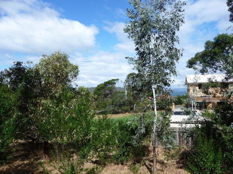 4 Cootamundra Court, Dodges Ferry TAS 7173