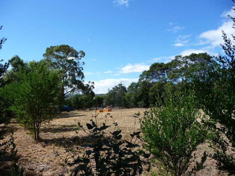 4 Cootamundra Court, Dodges Ferry TAS 7173