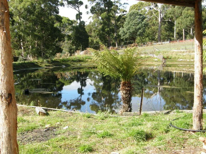 741 Nubeena Back Road, Koonya TAS 7187