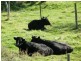 3 Tip Road, Nubeena TAS 7184