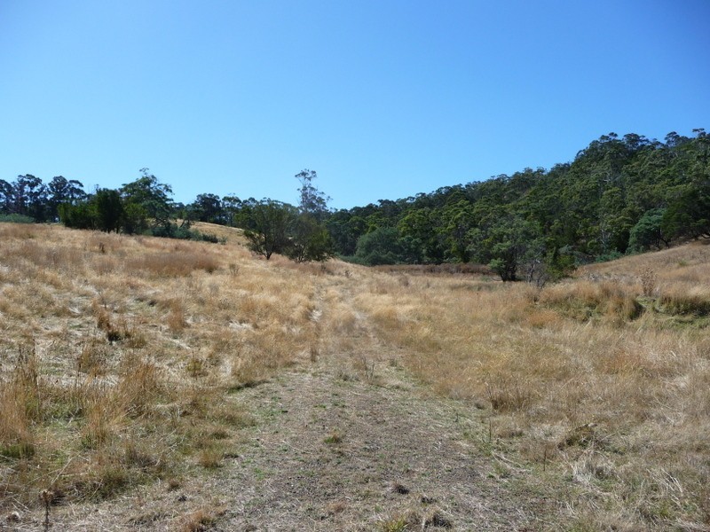 Lot 1 Carlton River Road, Carlton River TAS 7173