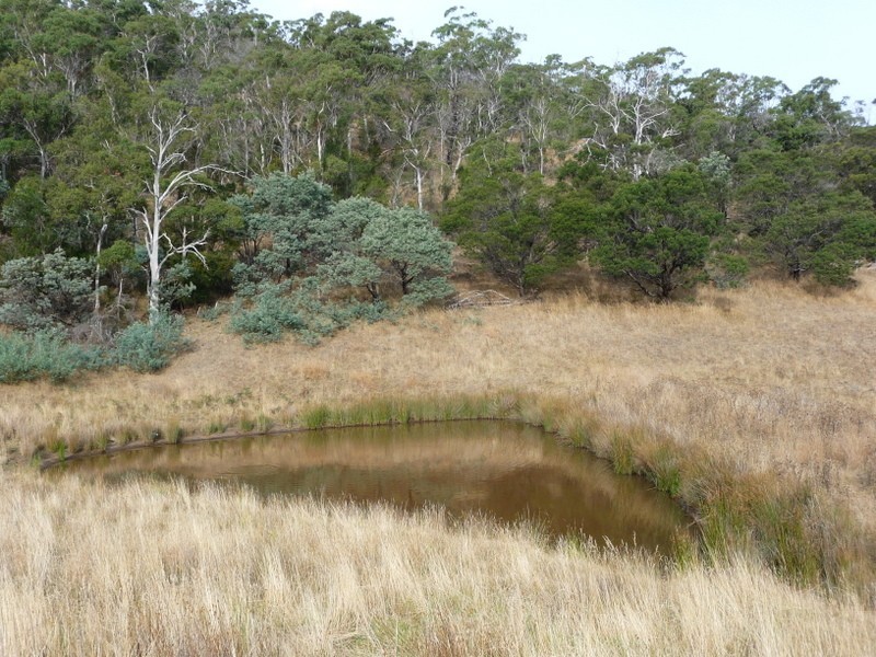 Lot 1 Carlton River Road, Carlton River TAS 7173