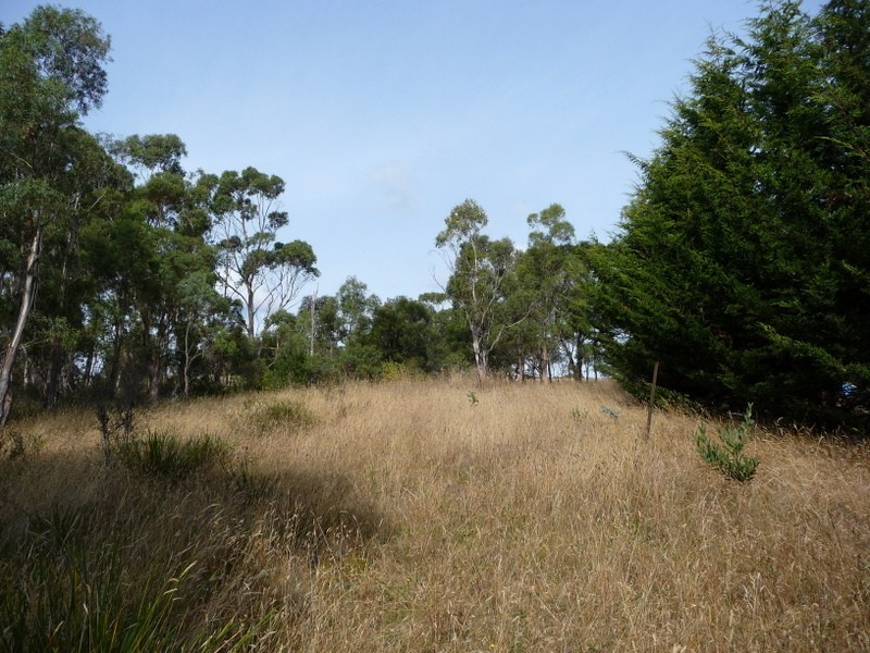 2094 Arthur Highway, Copping TAS 7174