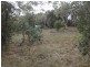 12-14 Church Street, Dodges Ferry TAS 7173
