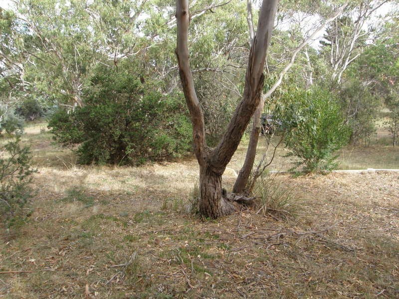 12-14 Church Street, Dodges Ferry TAS 7173
