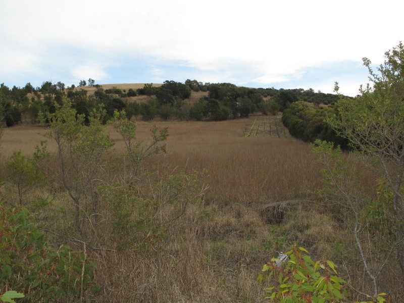 37 Leprena Road, Orielton TAS 7172